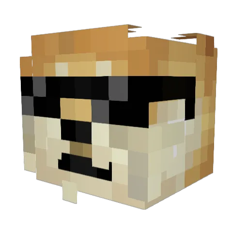 qtdodge Minecraft avatar head, 3D render