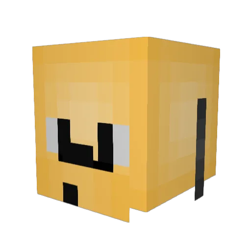 qtipppp Minecraft avatar head, 3D render