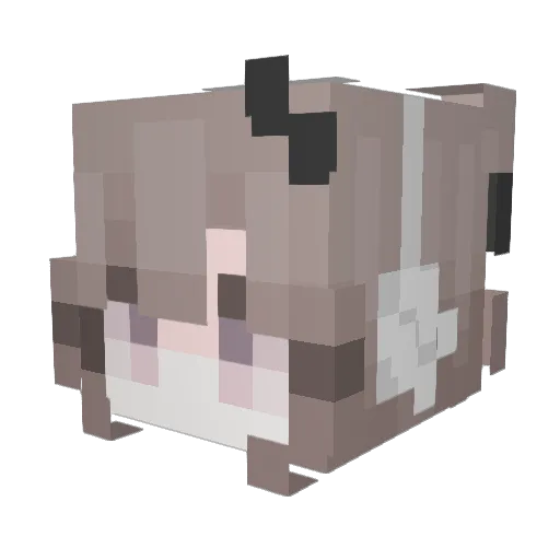 qtixx_ Minecraft avatar head, 3D render