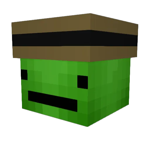 qtnamedtide Minecraft avatar head, 3D render
