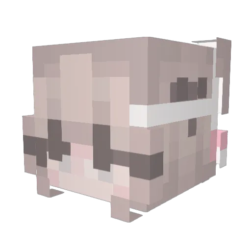 qtpookie Minecraft avatar head, 3D render