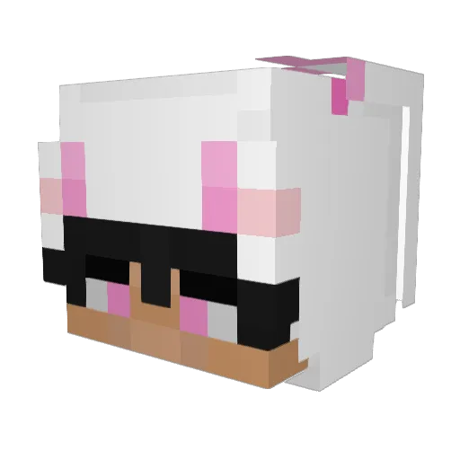 qtyawn Minecraft avatar head, 3D render