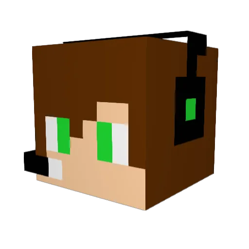 qtyv___z Minecraft avatar head, 3D render