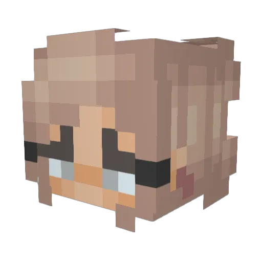 qu1nnison Minecraft avatar head, 3D render
