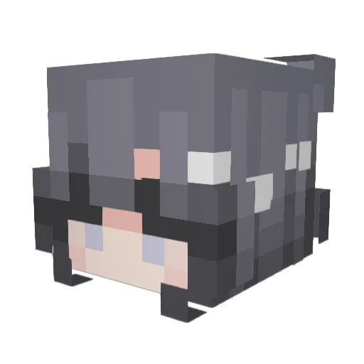 qu1rrelS Minecraft avatar head, 3D render