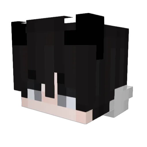 qu4ckHUN Minecraft avatar head, 3D render