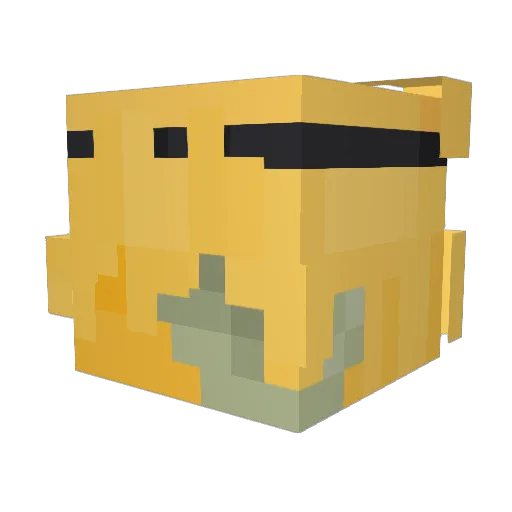 quaantex Minecraft avatar head, 3D render