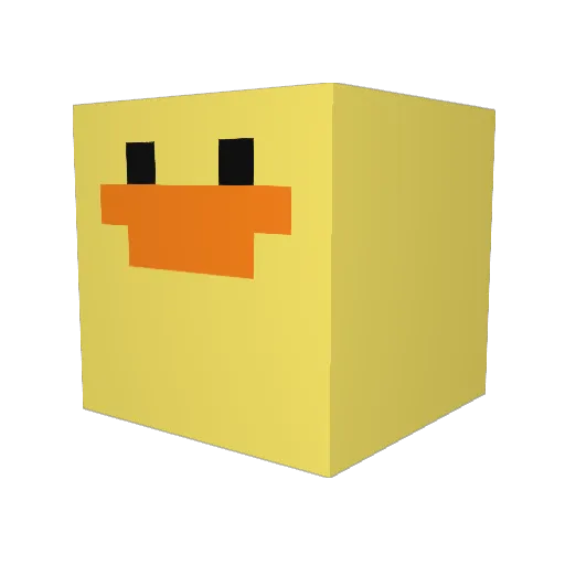 quack55 Minecraft avatar head, 3D render