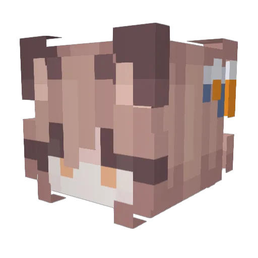 quackerzz8 Minecraft avatar head, 3D render