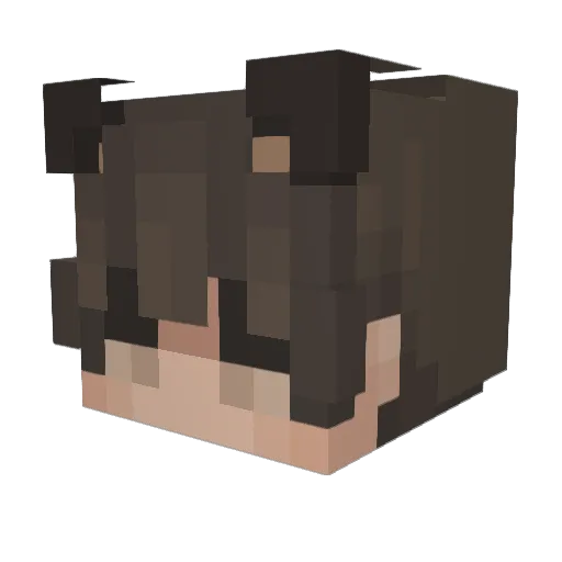 quackfix Minecraft avatar head, 3D render