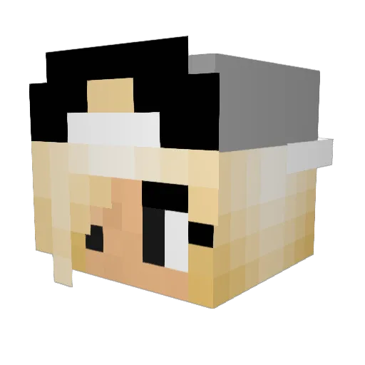 quackquack242 Minecraft avatar head, 3D render