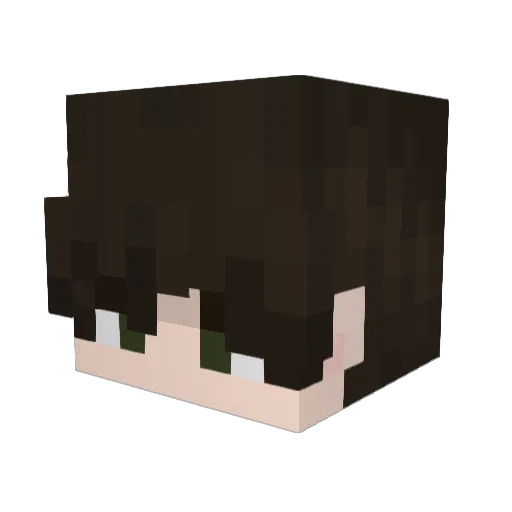 quackst3rs Minecraft avatar head, 3D render