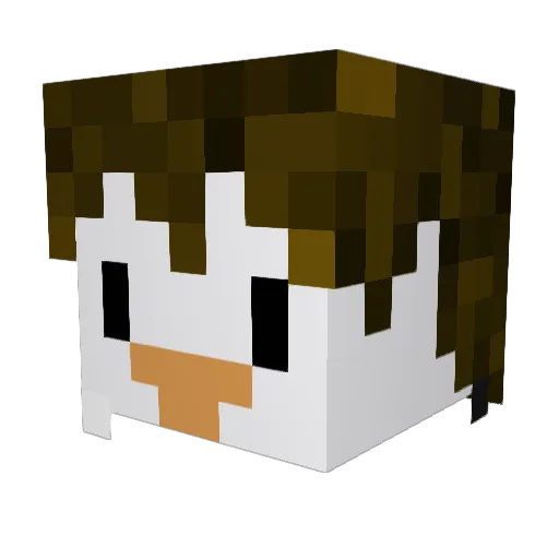 quackster101 Minecraft avatar head, 3D render