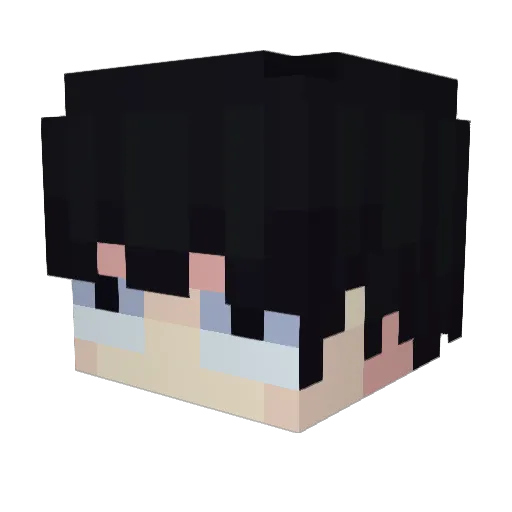 quagyu Minecraft avatar head, 3D render