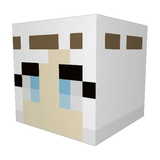quailquills Minecraft avatar head, 3D render