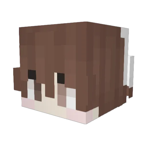quakerparrot Minecraft avatar head, 3D render