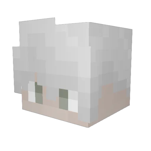 quakeyy Minecraft avatar head, 3D render