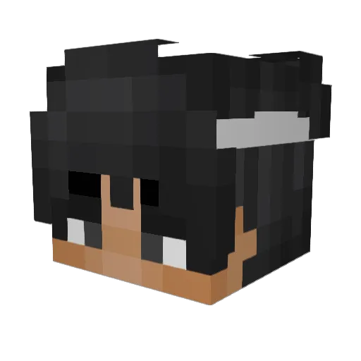 qualii Minecraft avatar head, 3D render