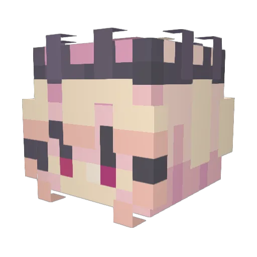 quandaledingle33 Minecraft avatar head, 3D render