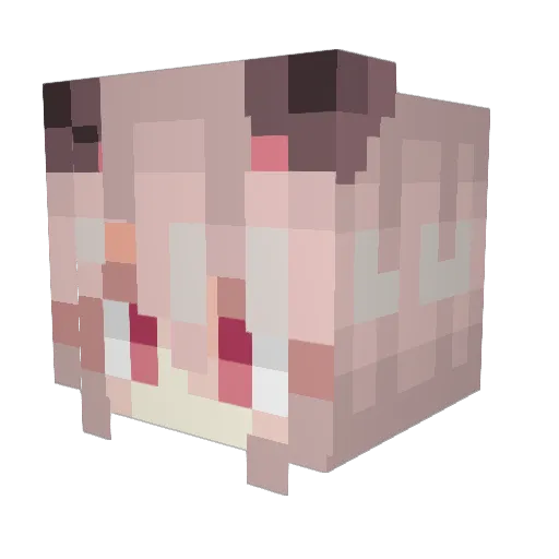 quanfromquanpack Minecraft avatar head, 3D render