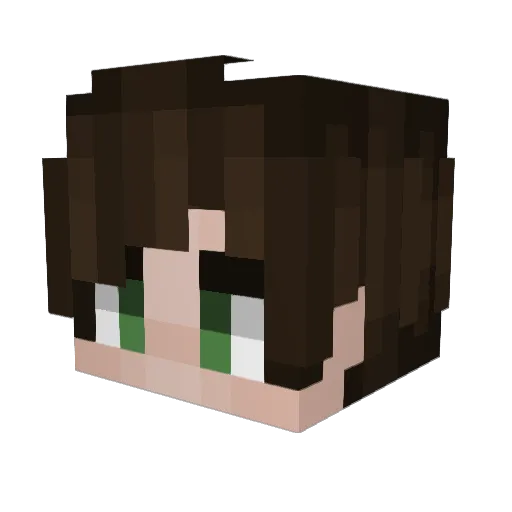 quanidy Minecraft avatar head, 3D render
