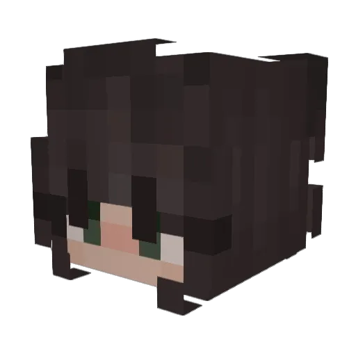 quantisimo Minecraft avatar head, 3D render