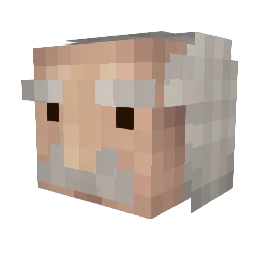 quantumCubit Minecraft avatar head, 3D render