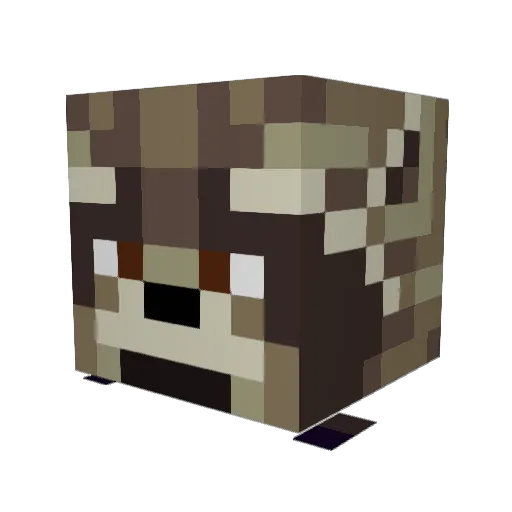 quantum_warrior_ Minecraft avatar head, 3D render
