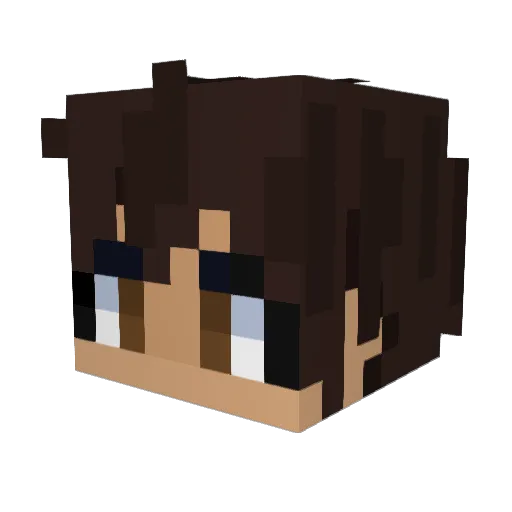 quantumduo_ Minecraft avatar head, 3D render