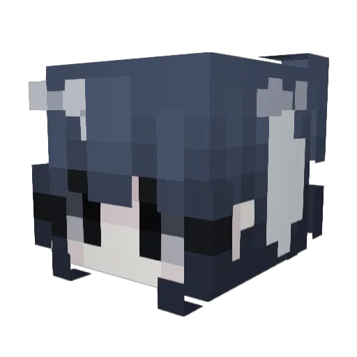 quarlit Minecraft avatar head, 3D render