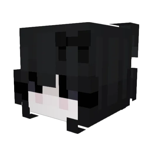 quasicat Minecraft avatar head, 3D render
