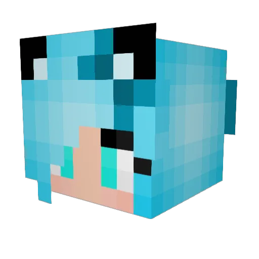 quasifrodo Minecraft avatar head, 3D render