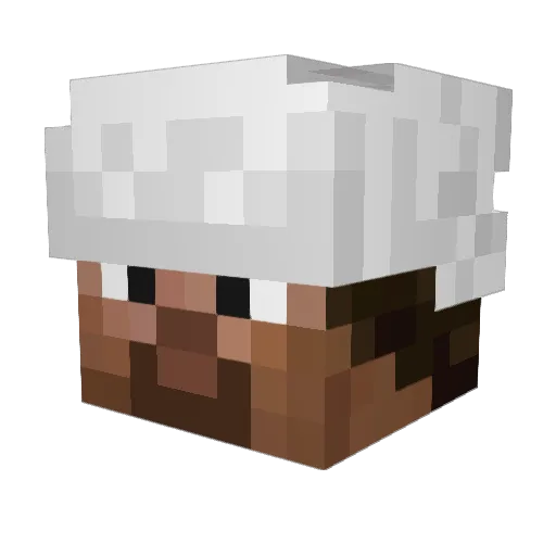 quatreskate Minecraft avatar head, 3D render