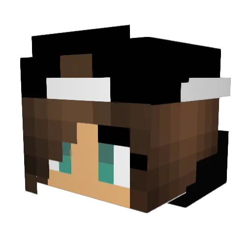 queenbee16 Minecraft avatar head, 3D render