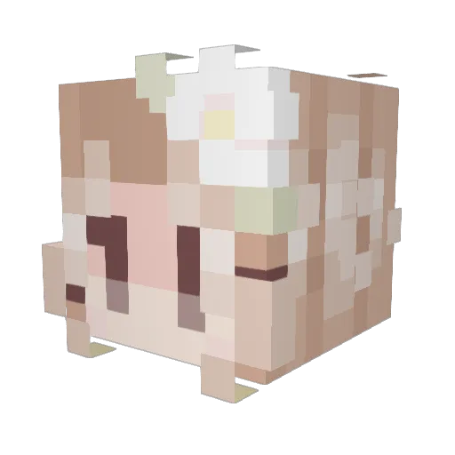 queenmarti Minecraft avatar head, 3D render