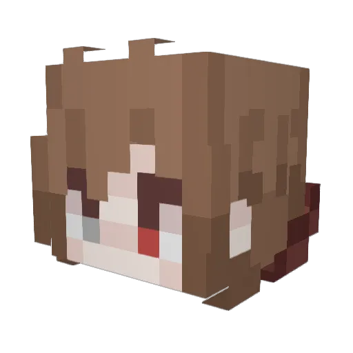 queerbeatle Minecraft avatar head, 3D render