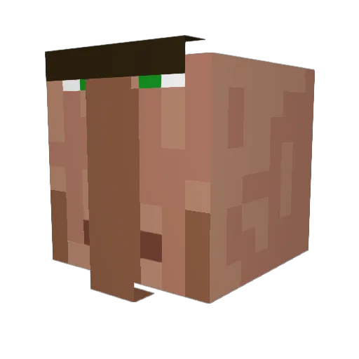 quelqun571 Minecraft avatar head, 3D render