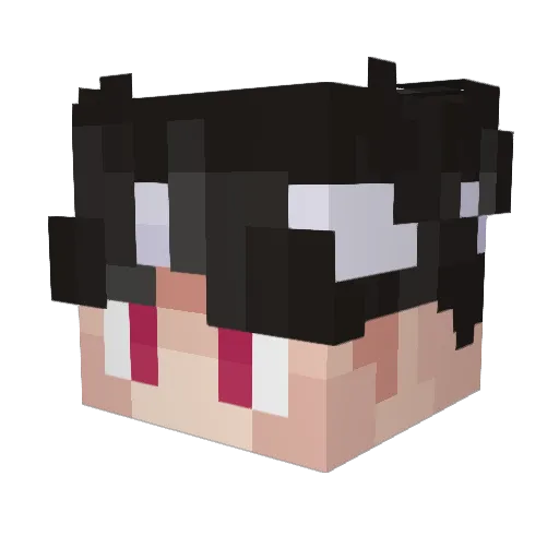 quenta_ Minecraft avatar head, 3D render