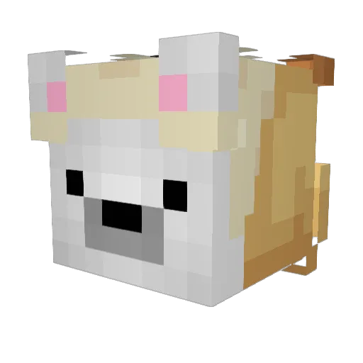 quesadilla_nothx Minecraft avatar head, 3D render