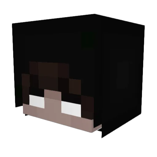questionamento Minecraft avatar head, 3D render