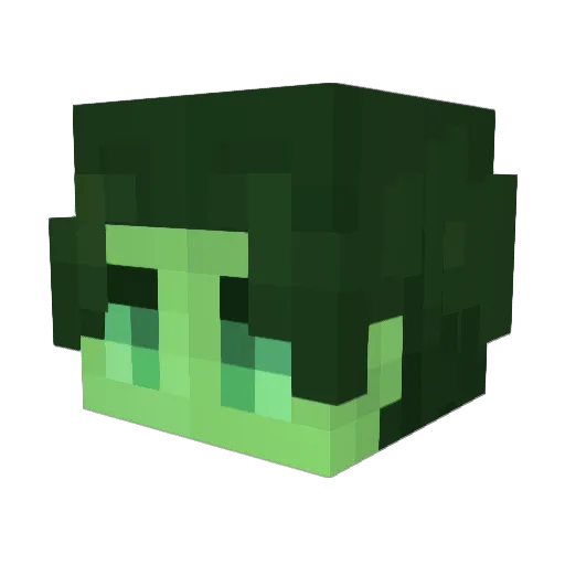 queyns Minecraft avatar head, 3D render