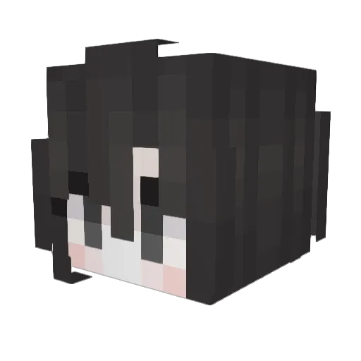 quiet Minecraft avatar head, 3D render