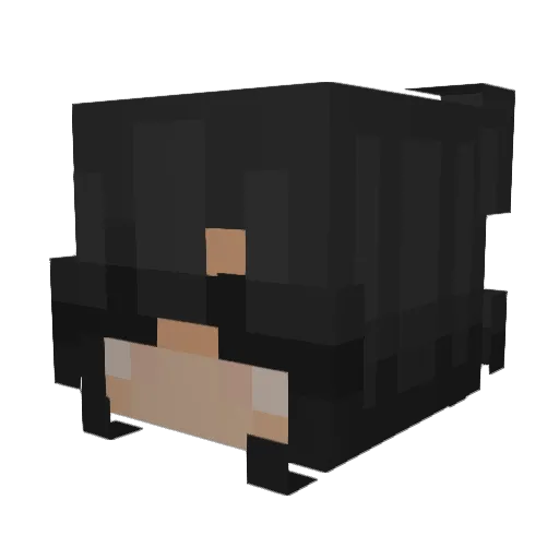 quietfollower Minecraft avatar head, 3D render