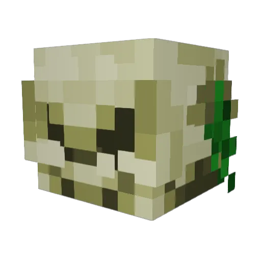 quiggles72 Minecraft avatar head, 3D render