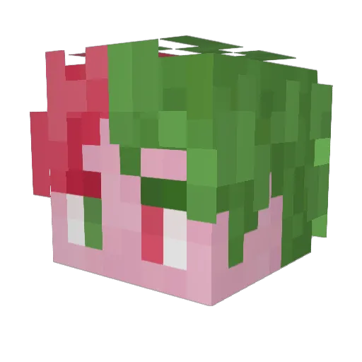 quiltRO_ Minecraft avatar head, 3D render