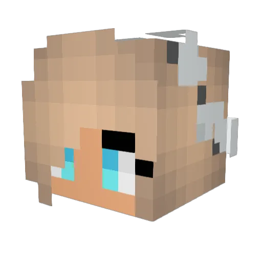 quincidental Minecraft avatar head, 3D render