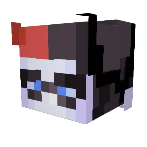 quinndoesntexist Minecraft avatar head, 3D render