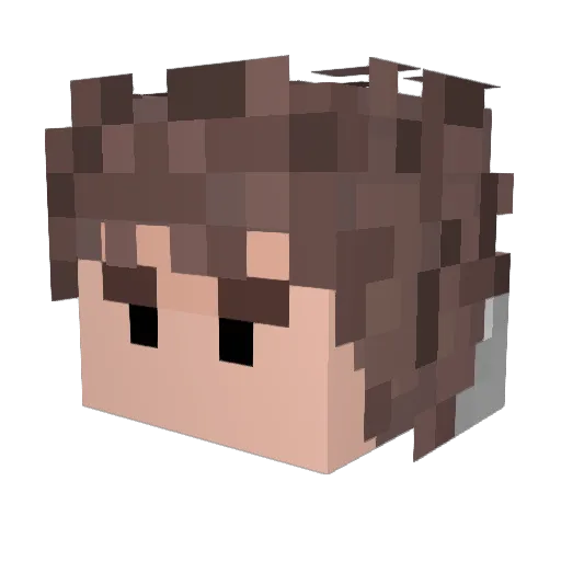 quinnidy Minecraft avatar head, 3D render