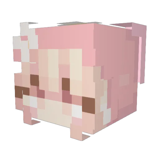quinniewynnie Minecraft avatar head, 3D render