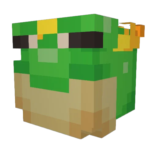 quinnifir2 Minecraft avatar head, 3D render